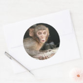 Bang aapje met grote ogen rond de sticker (Envelop)