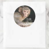 Bang aapje met grote ogen rond de sticker (Tas)