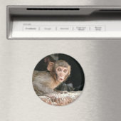 Bang aapje met grote ogen ronde magneet (Insitu (Vaatwasser))