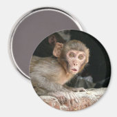 Bang aapje met grote ogen ronde magneet (Voorkant / Achterkant)