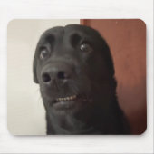 Bang hond meme Muismat (Voorkant)