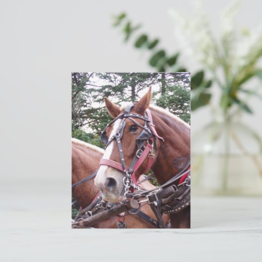 Bang werken briefkaart (Staand voorkant)