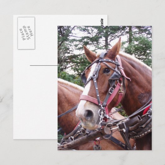 Bang werken briefkaart (Voorkant / Achterkant)