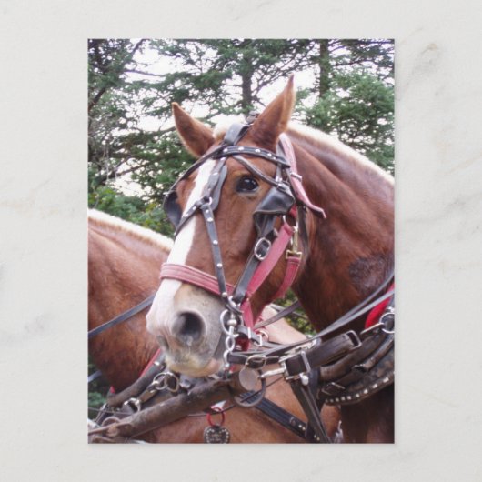 Bang werken briefkaart (Voorkant)