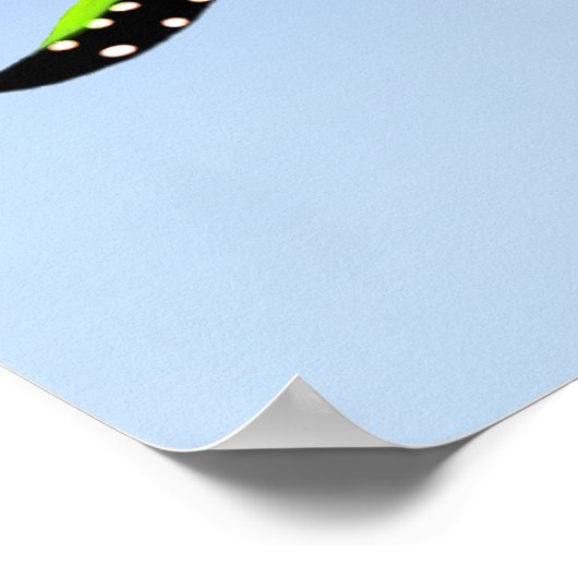 Banggai Cardinalfish Rainbow Poster (Hoek)