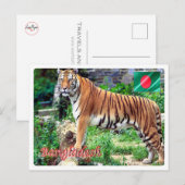 Bangladesh - De Royal Bengal Tigeri - Briefkaart (Voorkant / Achterkant)