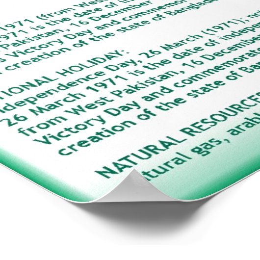 Bangladesh Poster (Hoek)