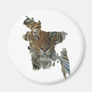 Bangladesh-Tiger Magnet
