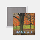 Bangor Magnet (Voorkant / Achterkant)