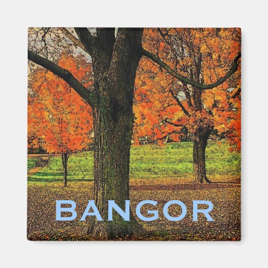 Bangor Magnet (Voorkant)