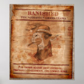 Banish Drama Llamas - 12 x 14 inch Poster (Voorkant)
