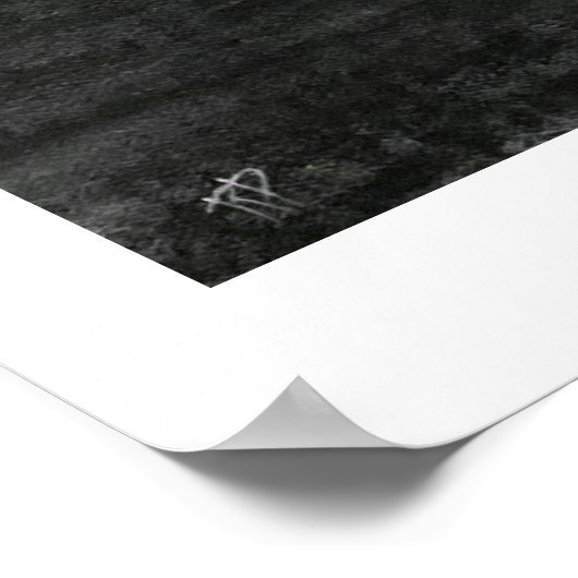 Banished-houtskooltekening door Rachel Dolezal Poster (Hoek)