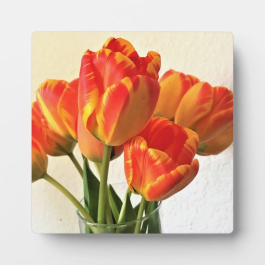 Banja Luka Tulips Fotoplaat (Voorkant)