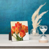 Banja Luka Tulips Fotoplaat (Insitu)