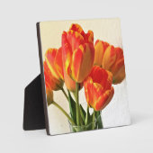 Banja Luka Tulips Fotoplaat (Voorkant)