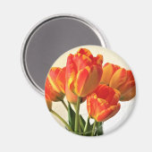 Banja Luka Tulips Magneet (Voorkant / Achterkant)