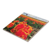 Banja Luka Tulips met Hot Air Ballon Tegeltje (Zijkant)