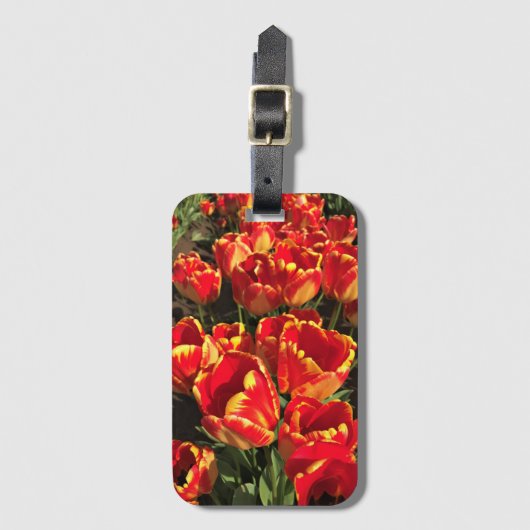 Banja Luka Tulips, Oregon Bagagelabel (Voorkant (verticaal))