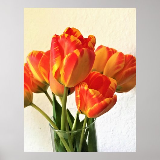 Banja Luka Tulips Poster (Voorkant)