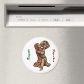 Banjaran Magneet (Insitu (Vaatwasser))