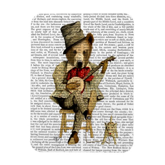 Banjo Beer Magneet (Verticaal)