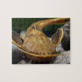 Banjo Catfish puzzel