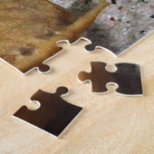 Banjo Catfish puzzel (Zijkant)