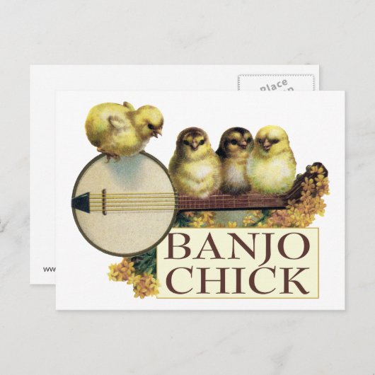 Banjo Chick Briefkaart (Voorkant / Achterkant)