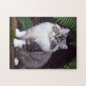 Banjo De donzige Perzische kat, puzzel Legpuzzel (Horizontaal)
