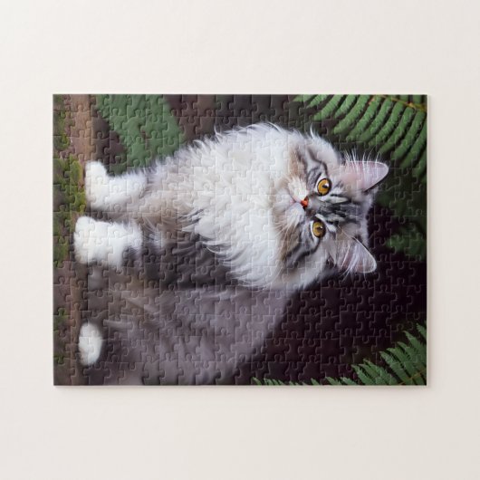 Banjo De donzige Perzische kat, puzzel Legpuzzel (Horizontaal)