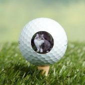 Banjo de Perzisch: Een Fluffy Grijs en Witte Vreug Golfballen (Insitu Shirt)