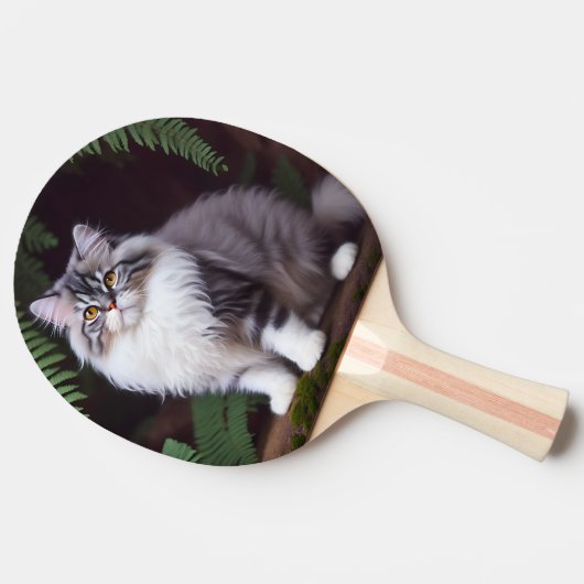 Banjo de Perzische: een pluizig grijs en wit genot Tafeltennisbatje (Zijkant)