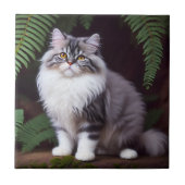 Banjo de Perzische: een pluizig grijs en wit genot Tegeltje (Voorkant)