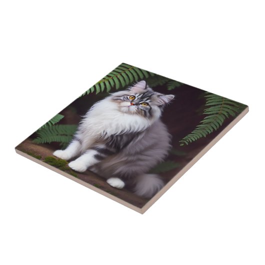 Banjo de Perzische: een pluizig grijs en wit genot Tegeltje (Zijkant)