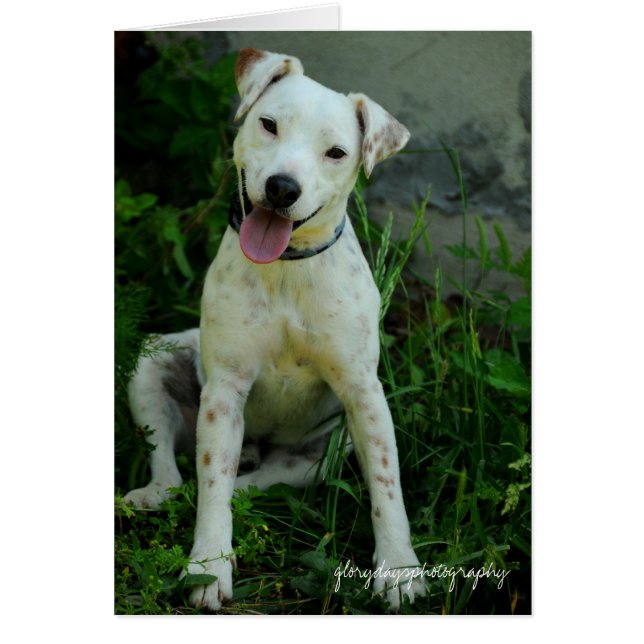 Banjo, mei 2009 (Voorkant)