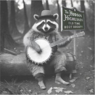 Banjo Raccoon Sticker