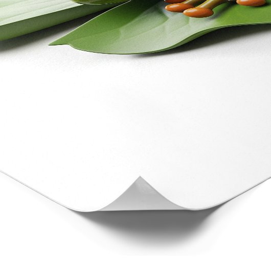 banjo-spelende kikker poster (Hoek)