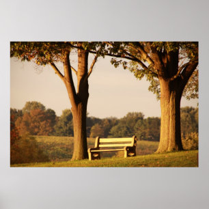 Bank bij zonsondergang poster