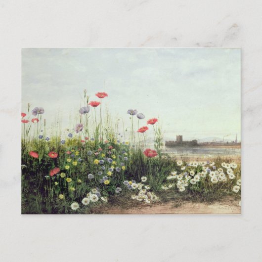 Bank of Summer Flowers Briefkaart (Voorkant)