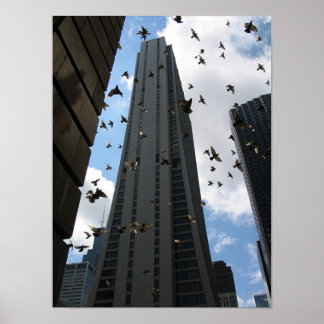 Bank One Plaza vs. Pigeon Escape Poster