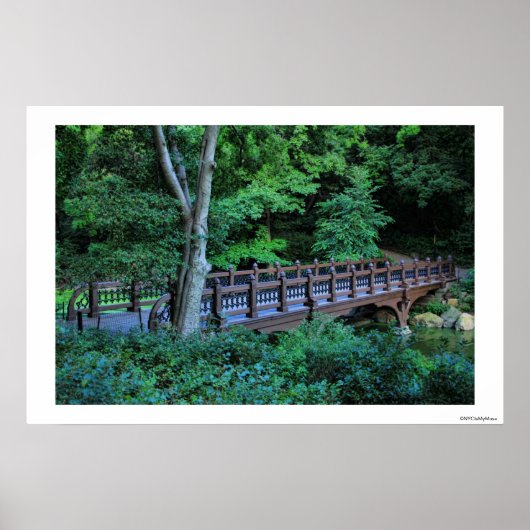 Bank Rock Bridge, Central Park, New York City Poster (Voorkant)