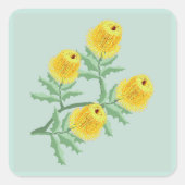 Banksia bloemen vierkante sticker (Voorkant)