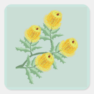 Banksia bloemen vierkante sticker