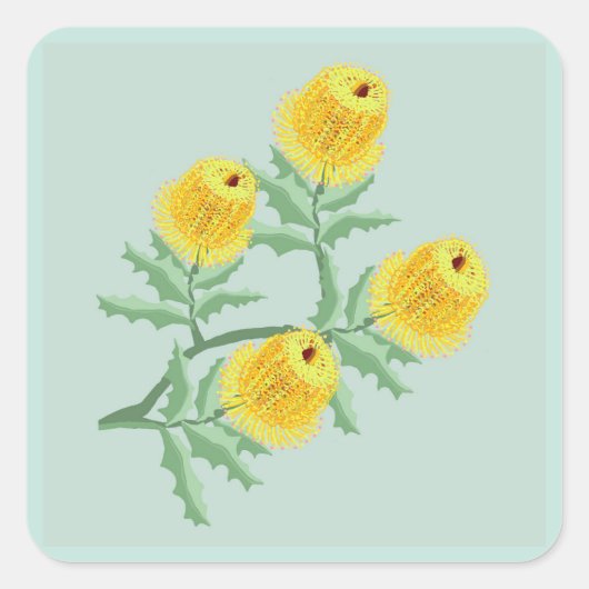 Banksia bloemen vierkante sticker (Voorkant)