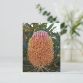 Banksia flower briefkaart (Staand voorkant)