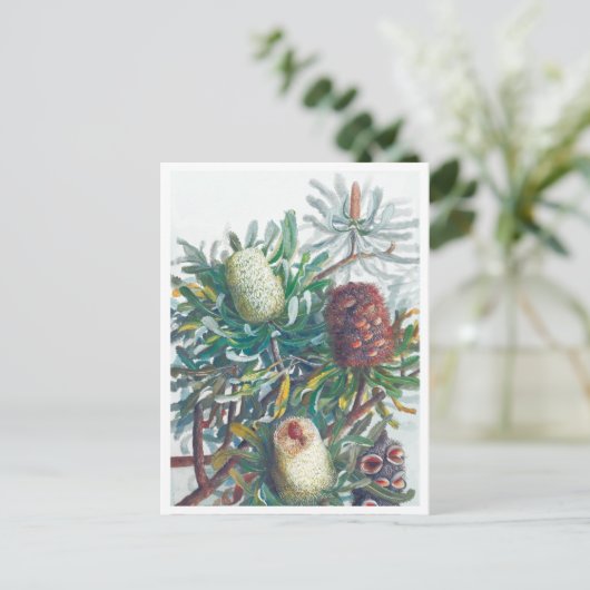 Banksia Flowers | Ellis Rowan 1782 Briefkaart (Staand voorkant)