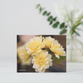 Banksia Roos [Briefkaart] Briefkaart (Staand voorkant)