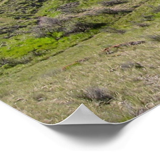 Bannack Ghost Town - Brussel Poster (Hoek)