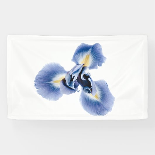 banner (Horizontaal)