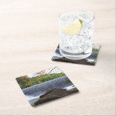 Banner Elk, NC Waterval Kartonnen Onderzetters (Insitu)